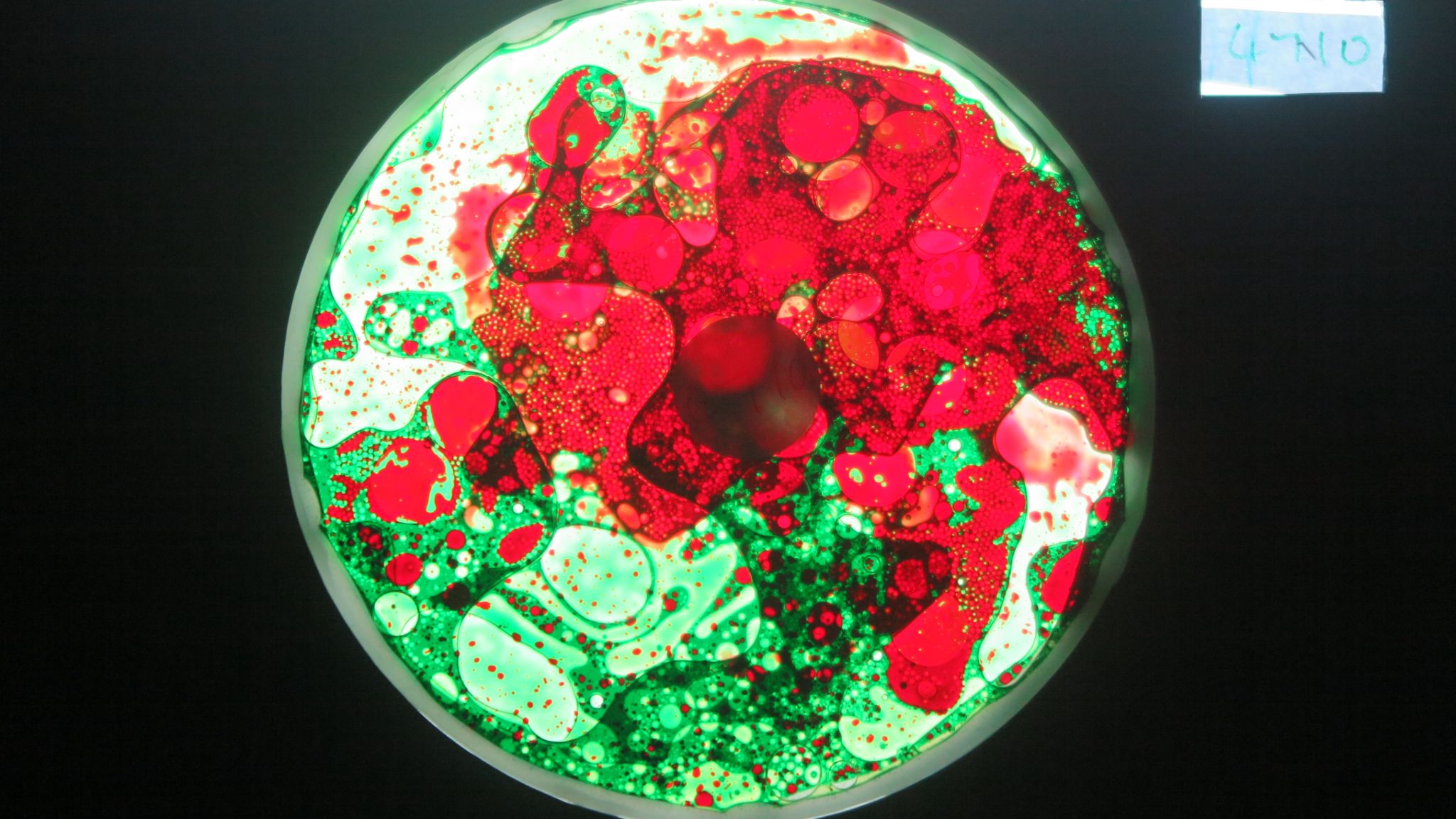 BV4710 bubble vision oil wheel